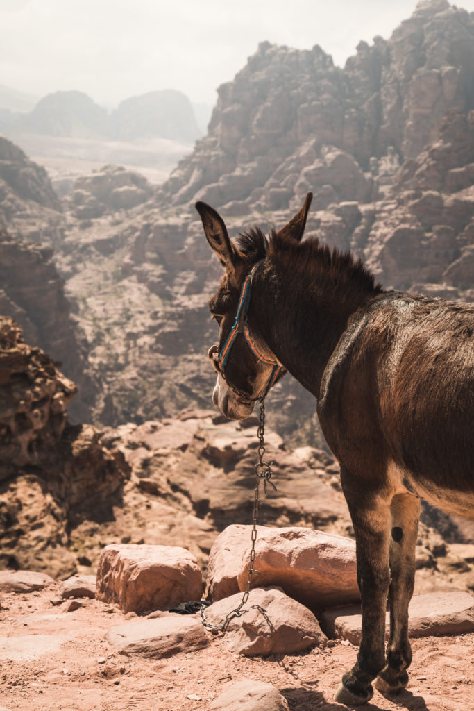 Jordanie | Notre guide pour découvrir Pétra
