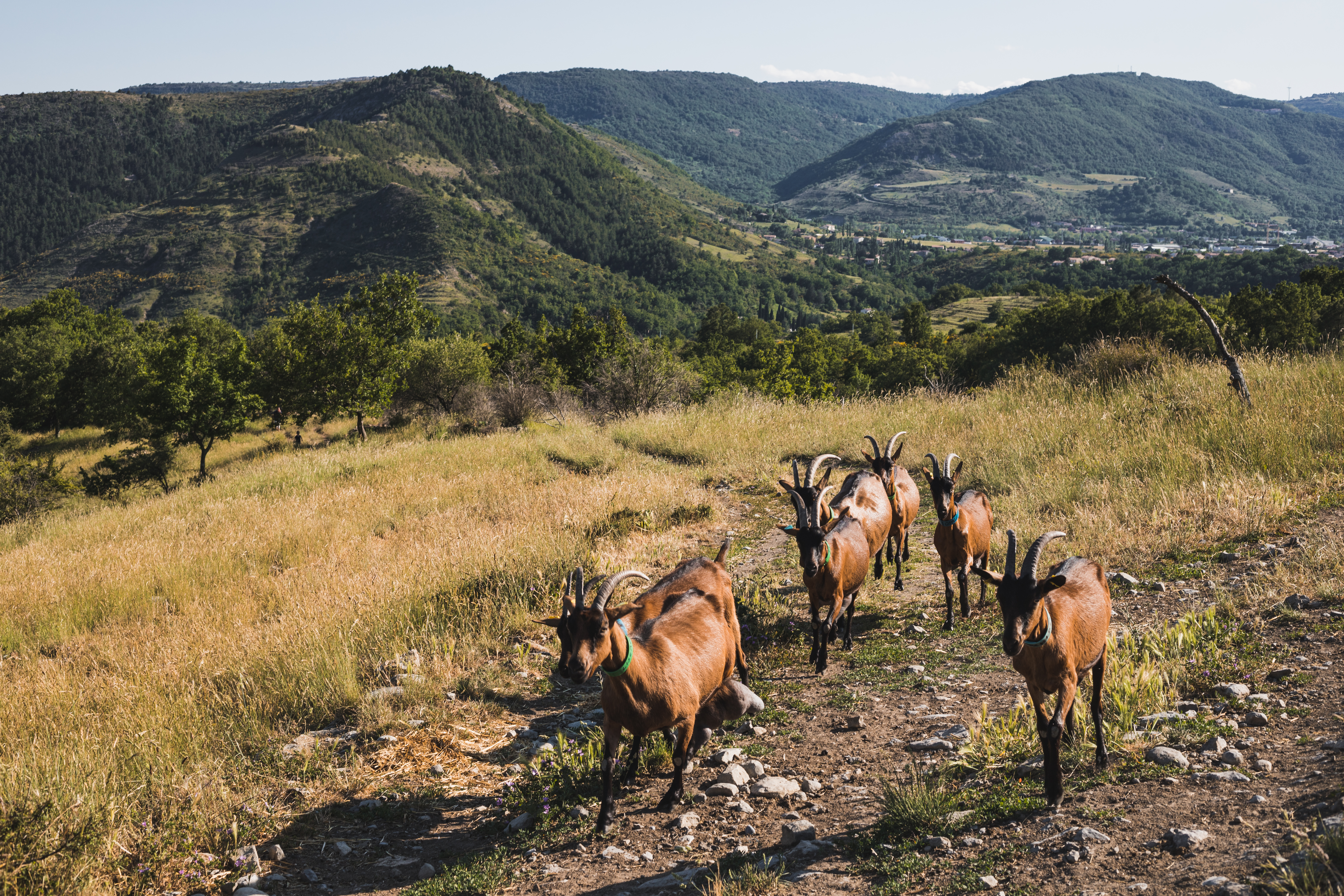 10 expériences à vivre en Ardèche Buissonnière