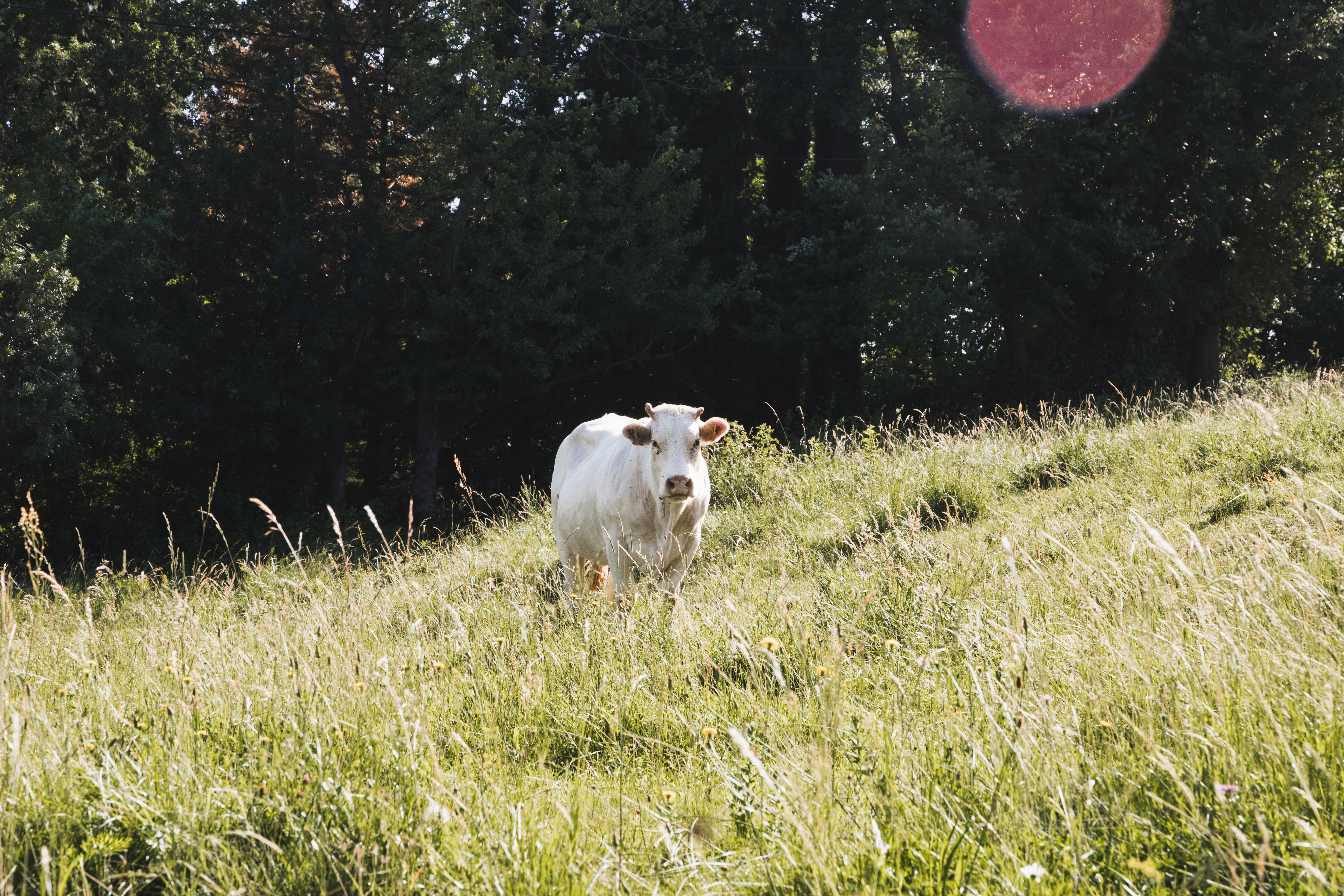 10 expériences à vivre en Ardèche Buissonnière