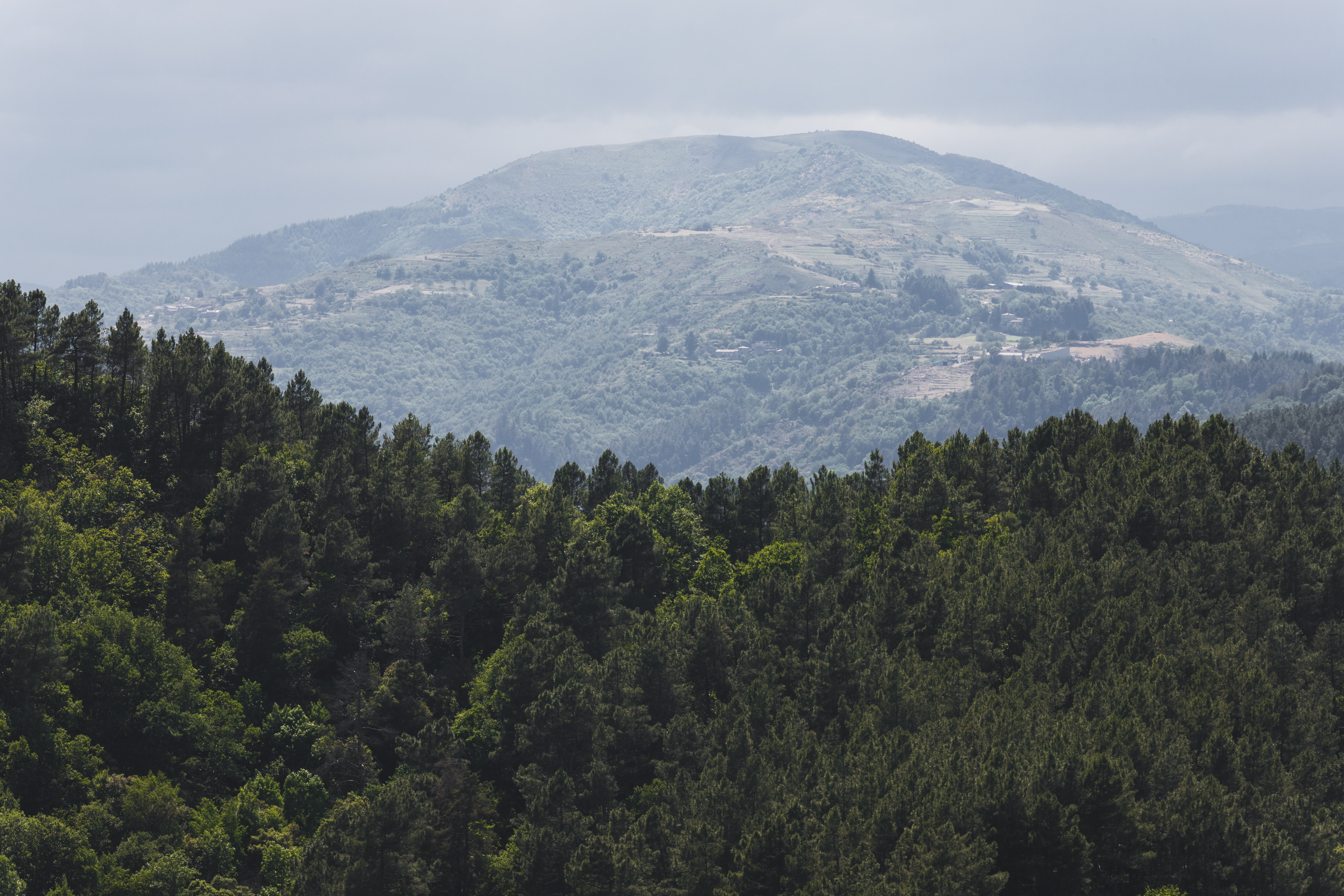10 expériences à vivre en Ardèche Buissonnière