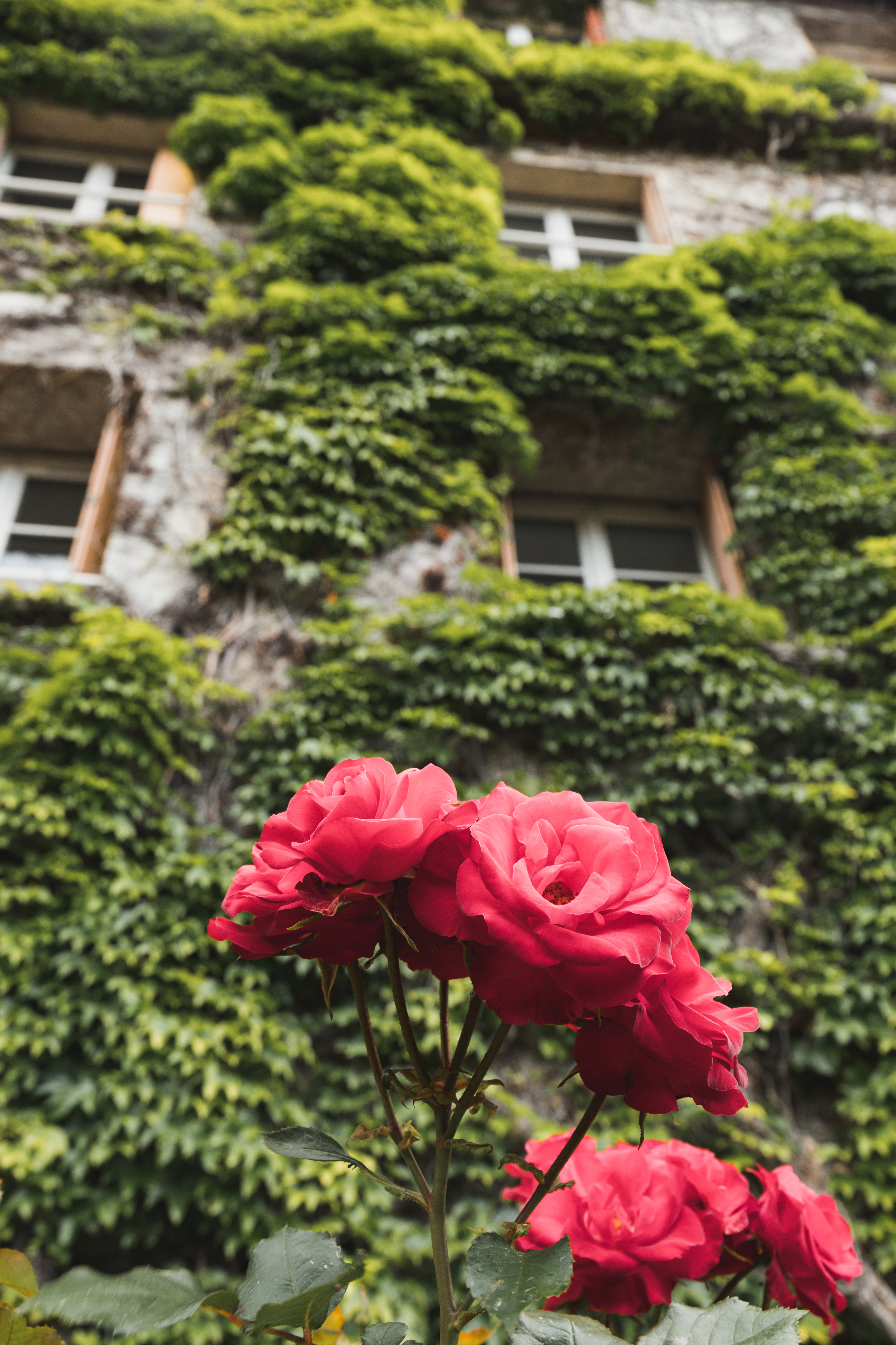 10 expériences à vivre en Ardèche Buissonnière