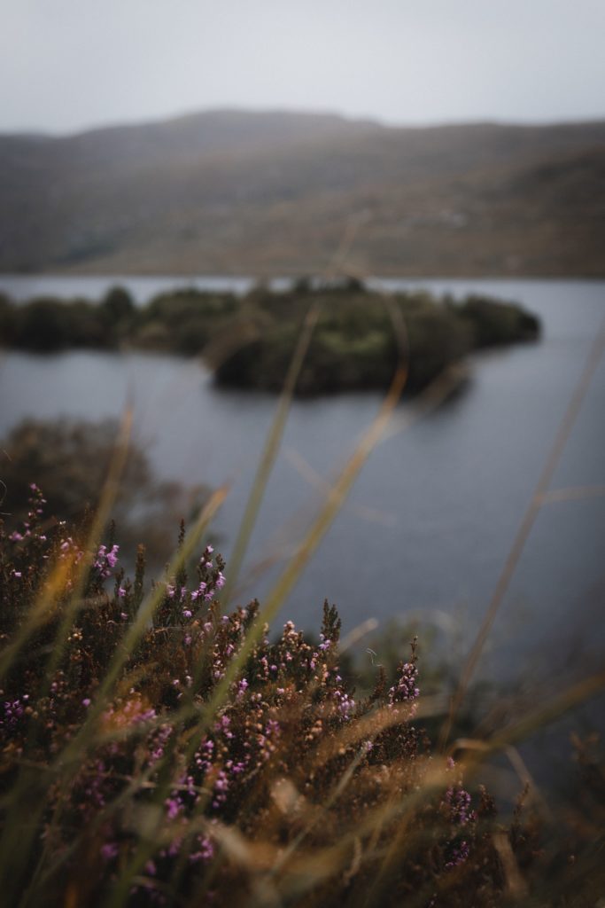Road trip en Irlande | Parc national de Glenveagh