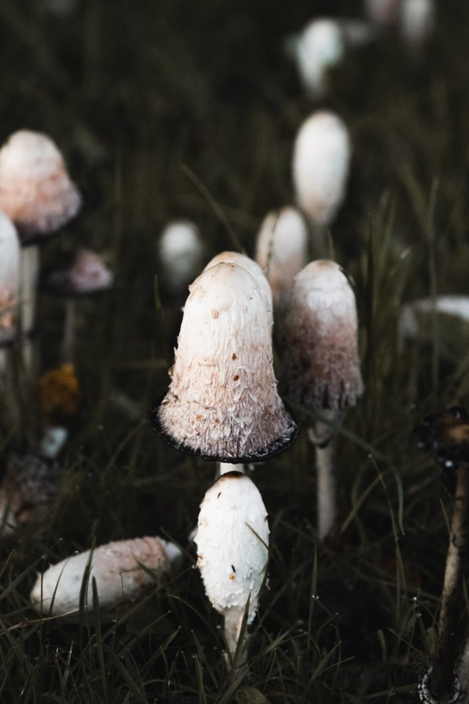 Dormir dans une bulle en Irlande | Finn Lough Resort
