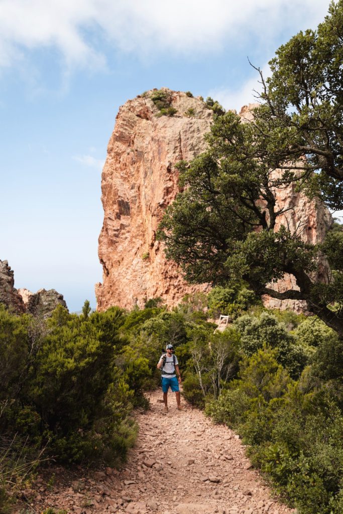 Tour du Cap Roux - Estérel