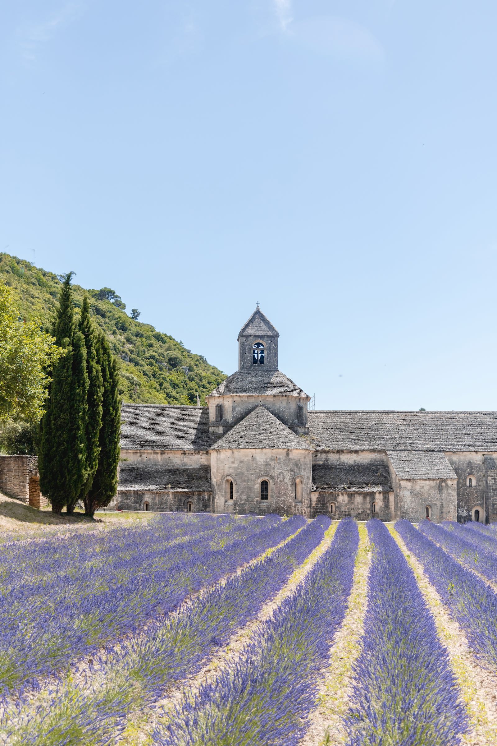 Abbaye de Sénanque & Lavande