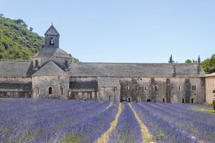 Abbaye de Sénanque dans le Luberon