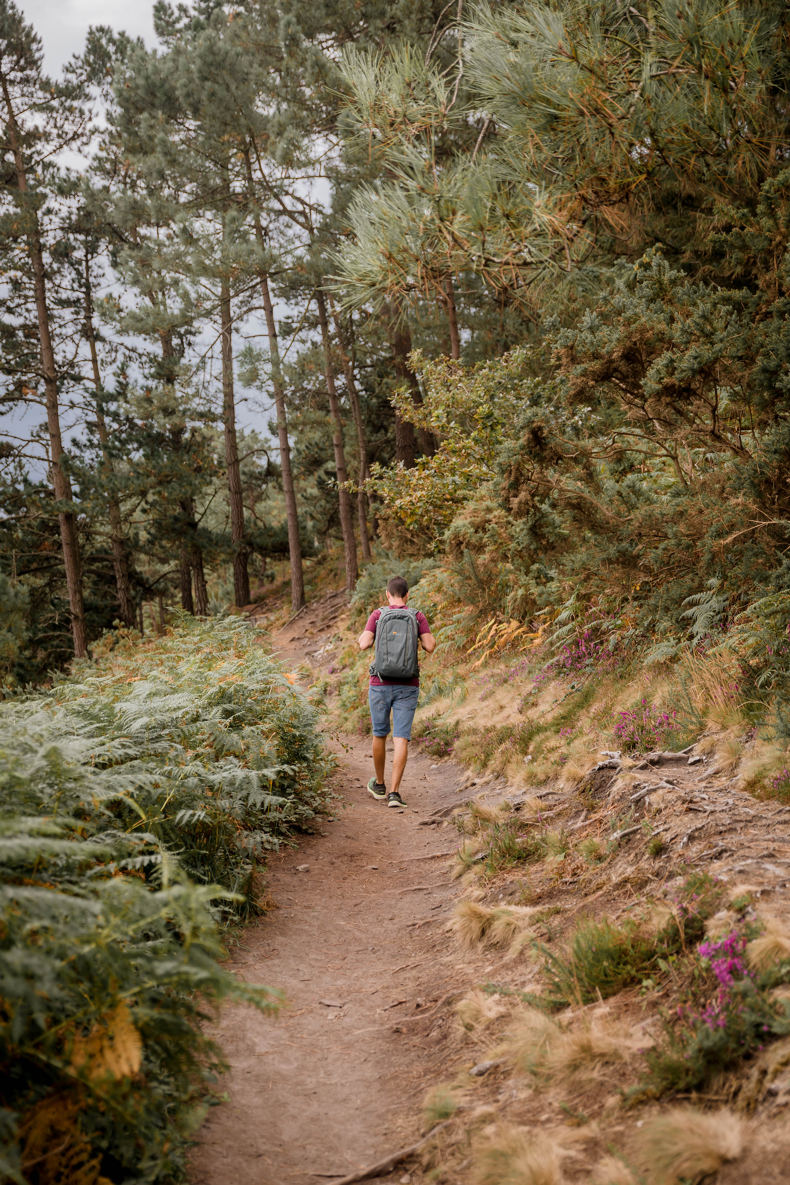 Sentier du GR 34