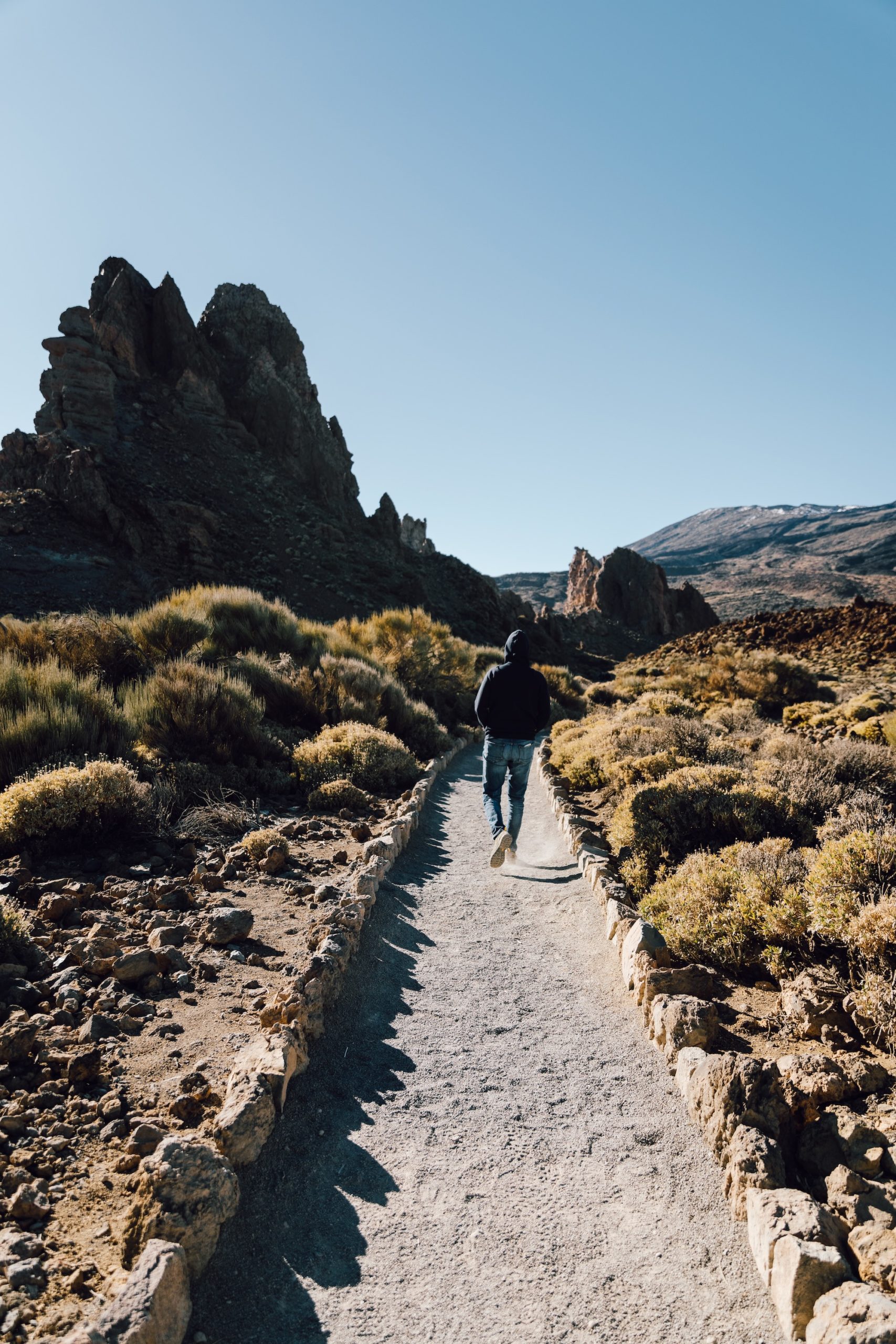 Los Roques de Garcia Tenerife