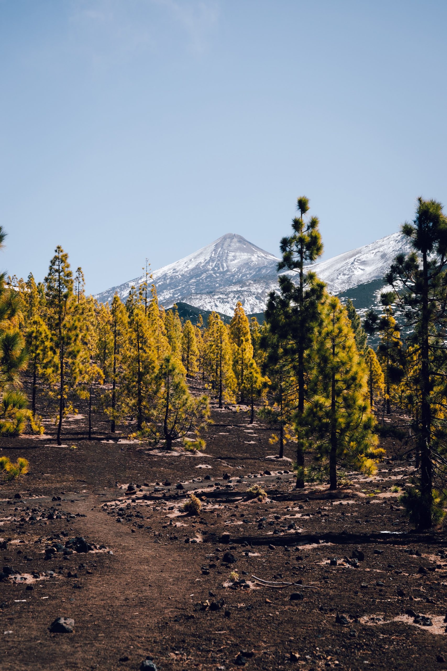 Parc National du Teide