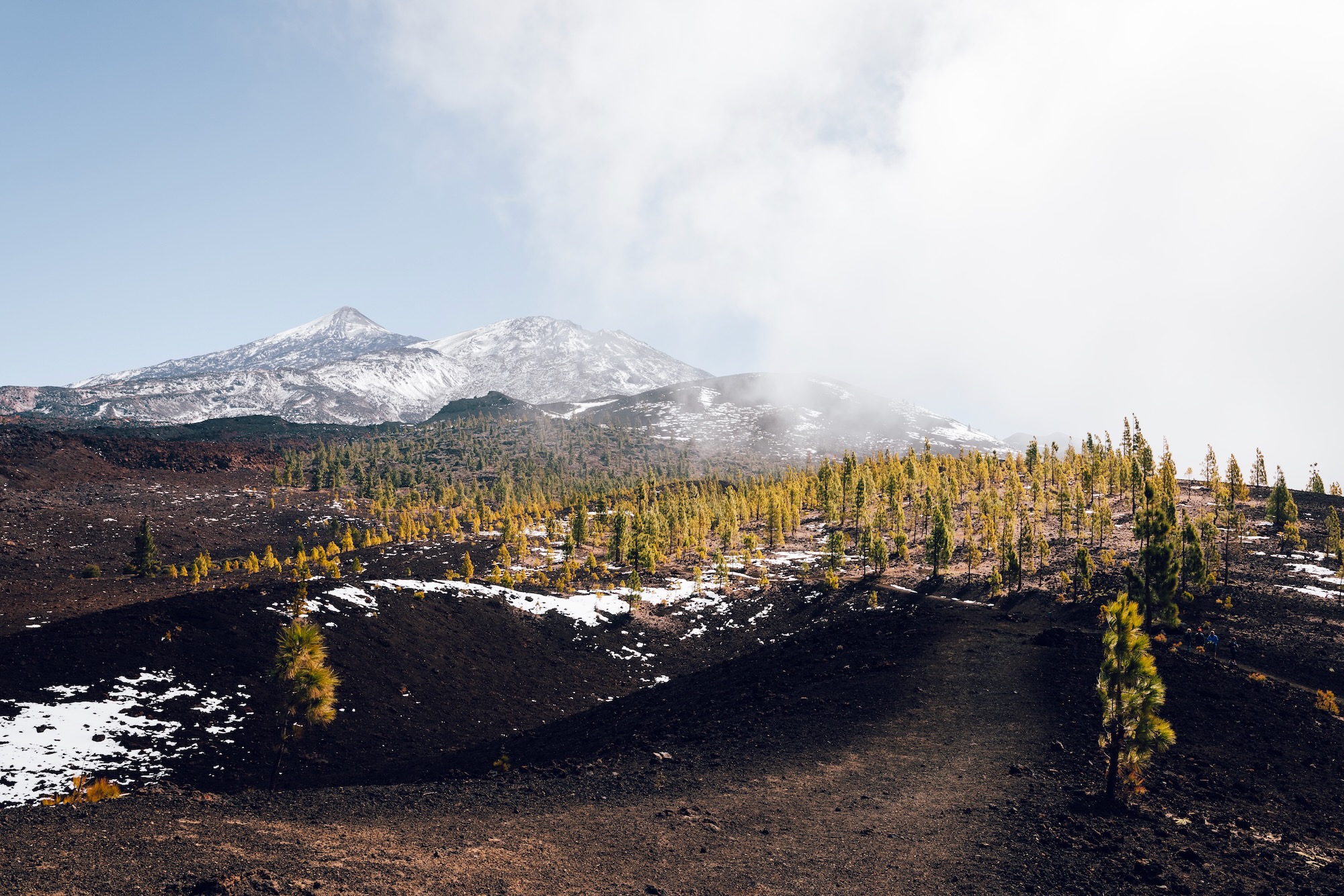 Parc National du Teide
