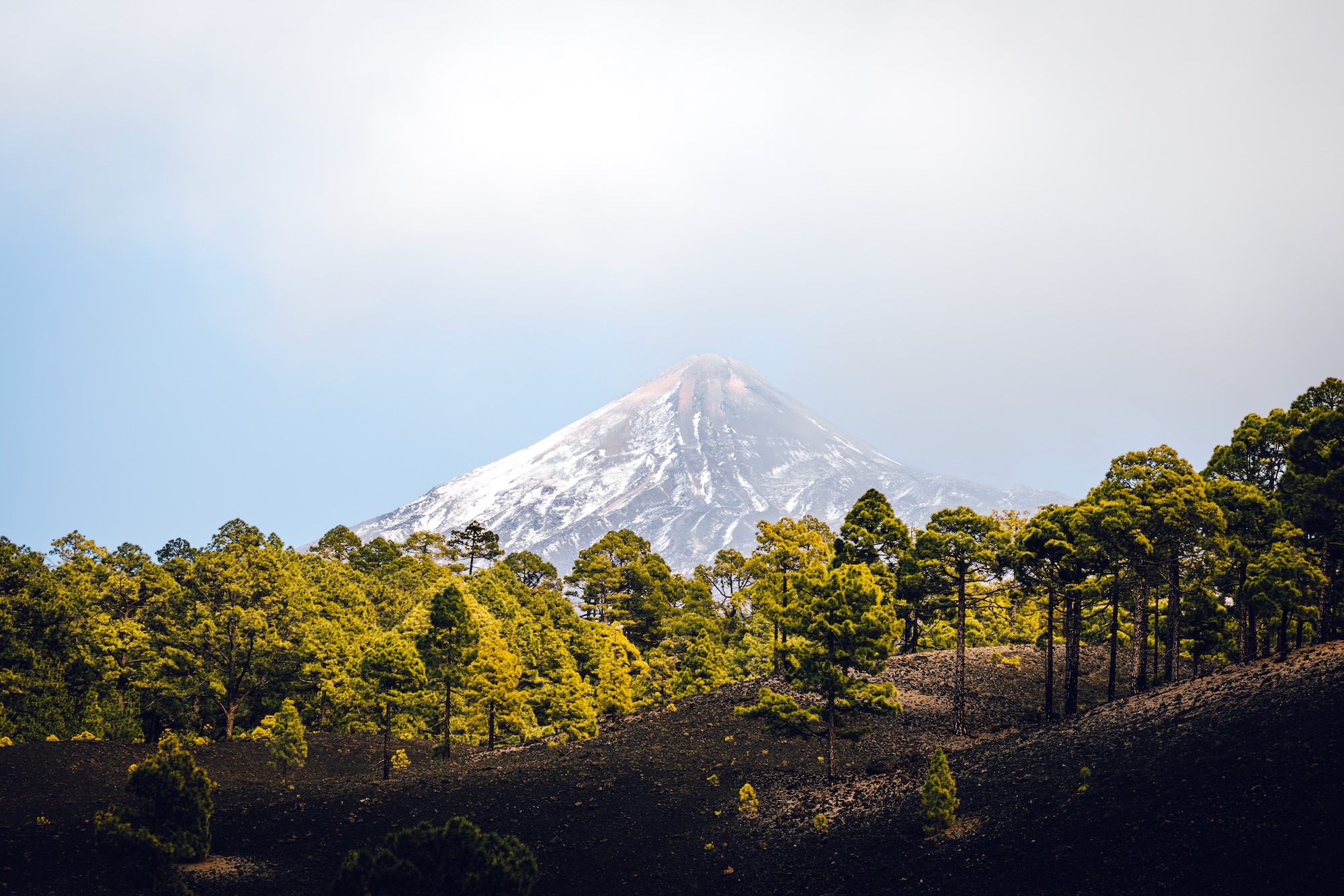 Teide au départ de la randonnée Chinyero