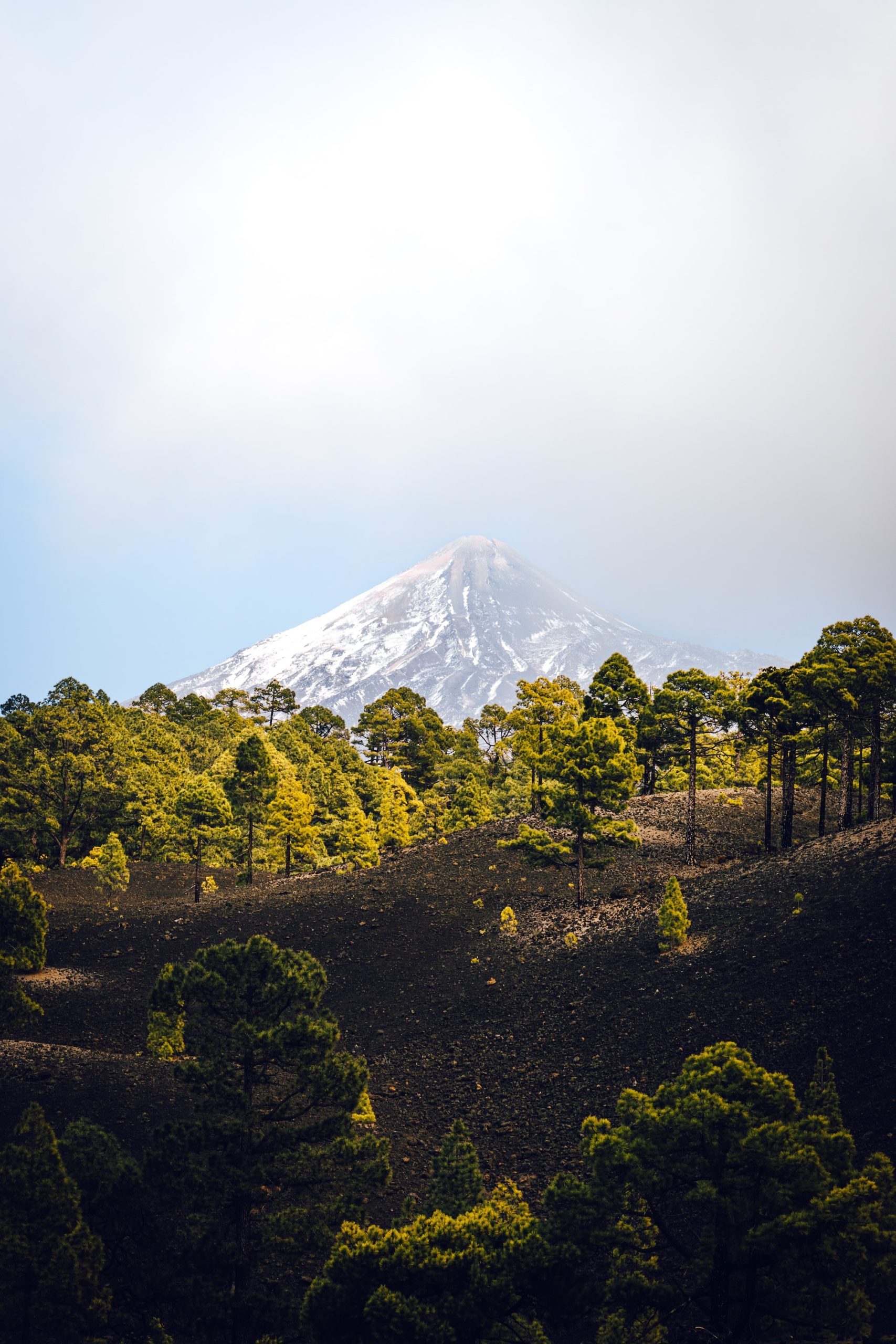 Teide au départ de la randonnée Chinyero