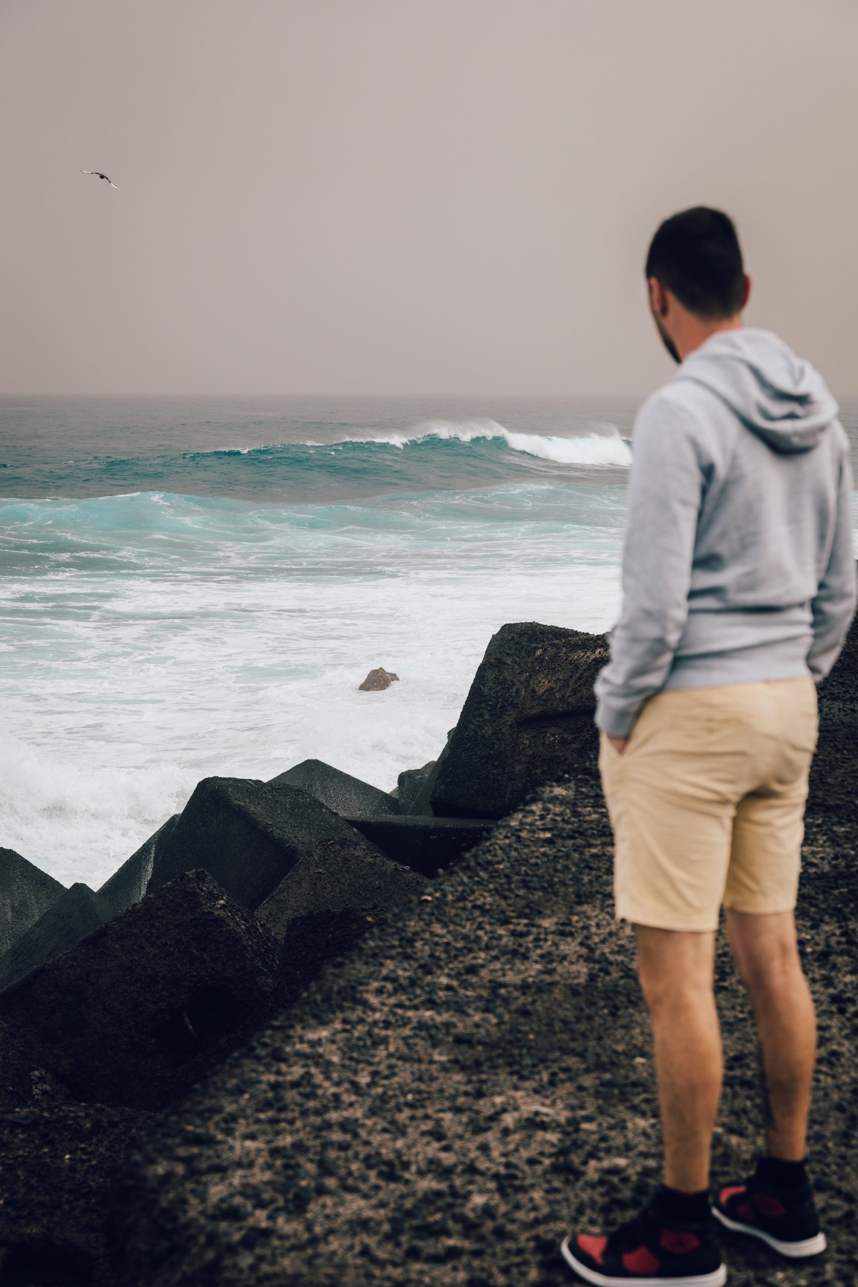 Que faire à Puerto de la Cruz à Tenerife ?