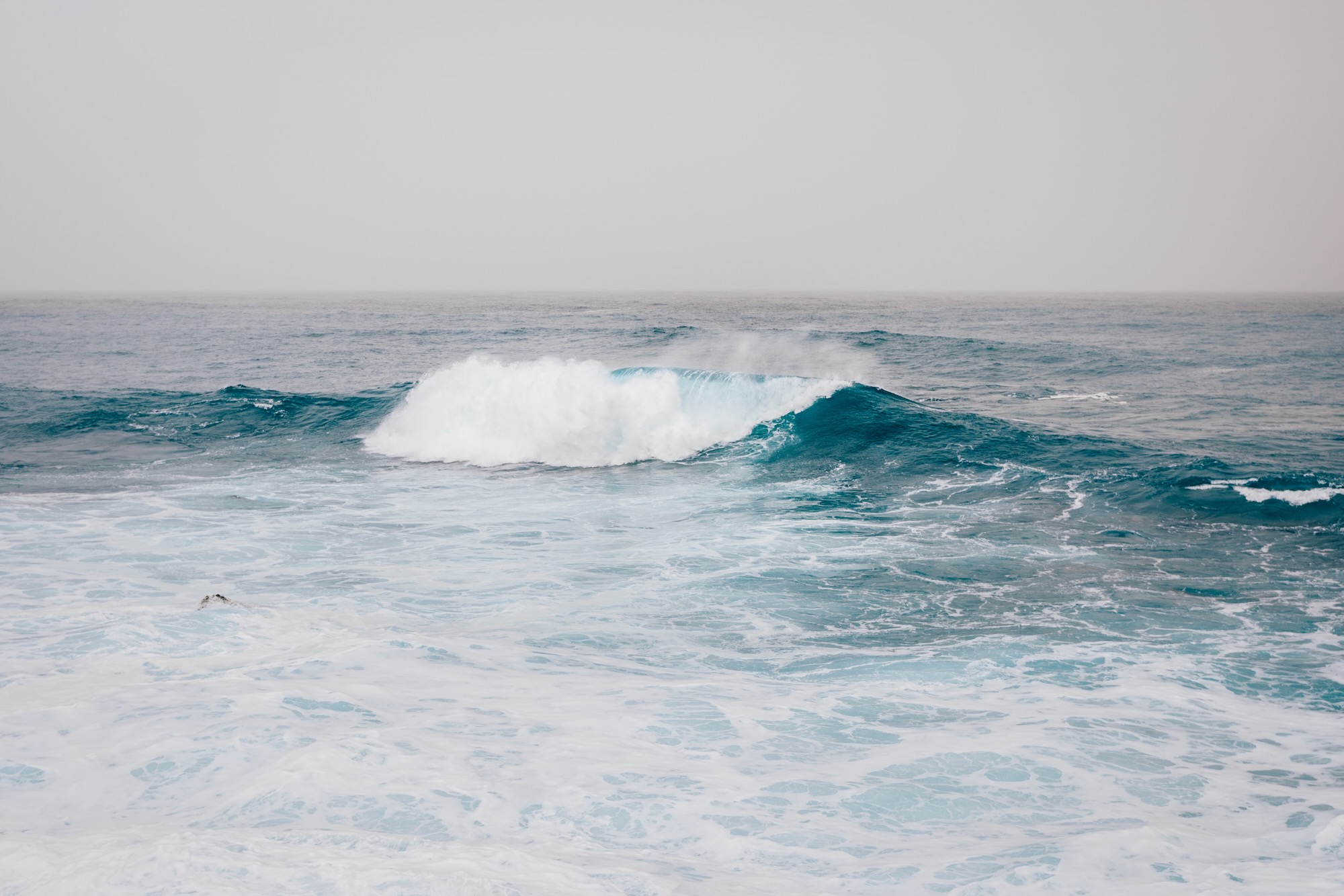 Que faire à Puerto de la Cruz à Tenerife ?