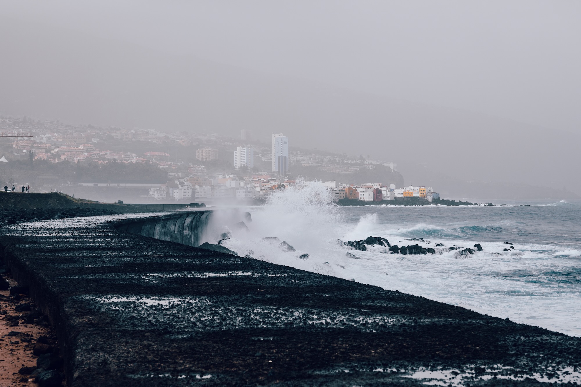 Que faire à Puerto de la Cruz à Tenerife ?