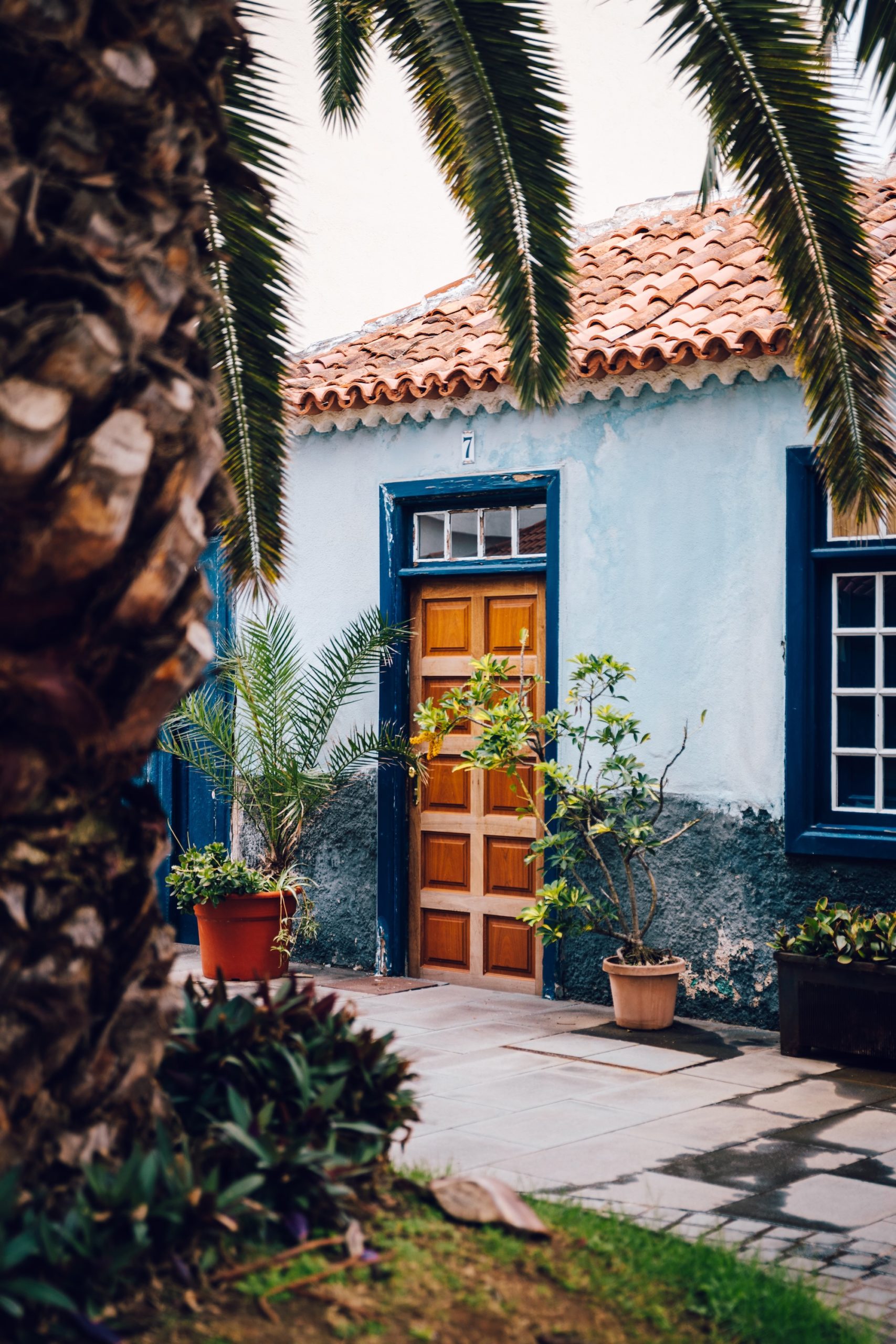 Que faire à Puerto de la Cruz ?