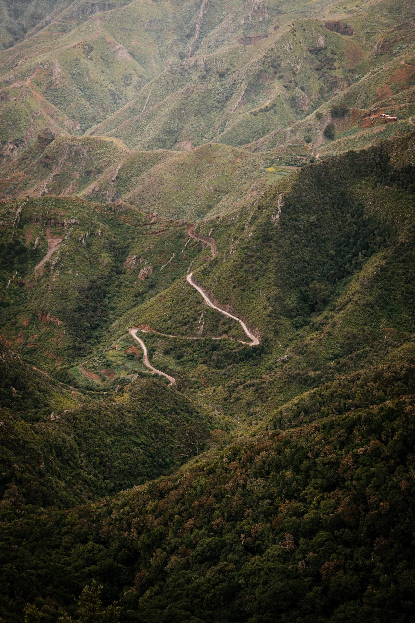 Les routes sinueuses de l'Anaga