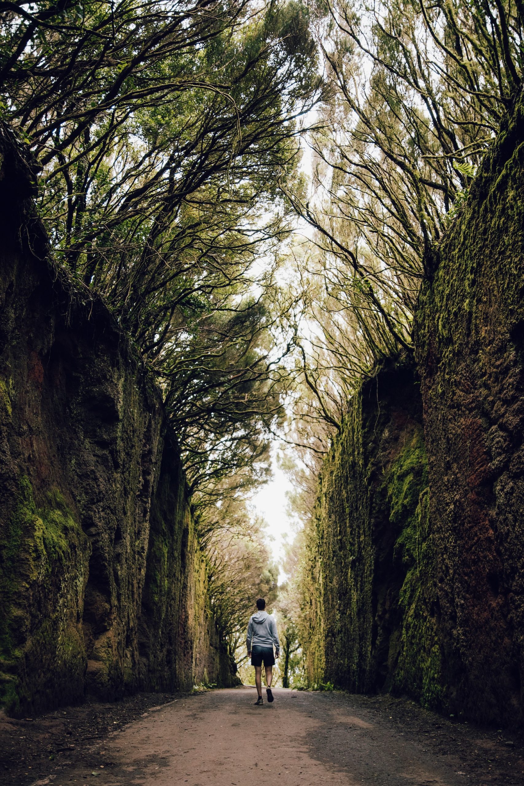 Camino Viejo dans l'Anaga à Tenerife