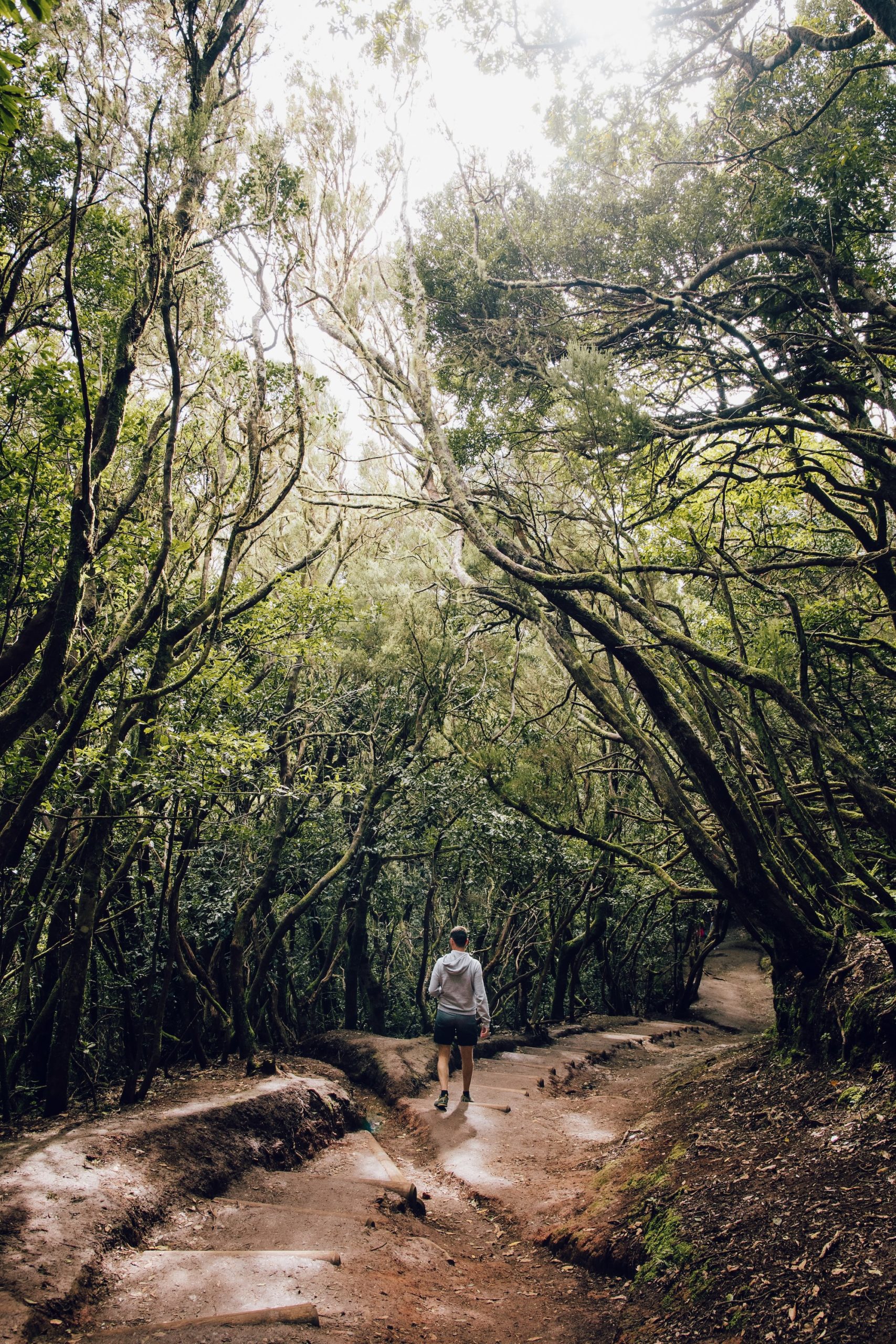 Sendero de Los Sentidos
