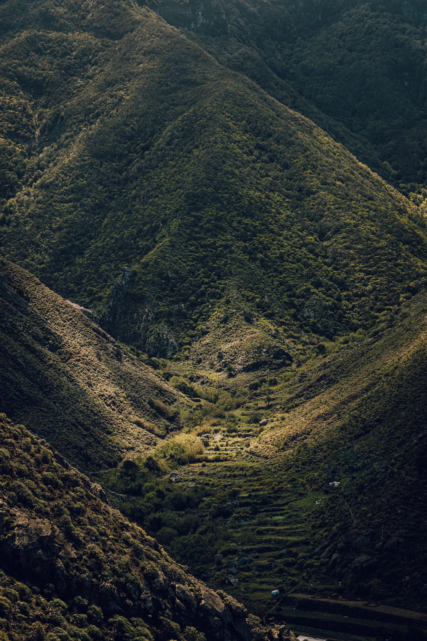 Randonnée à Tenerife