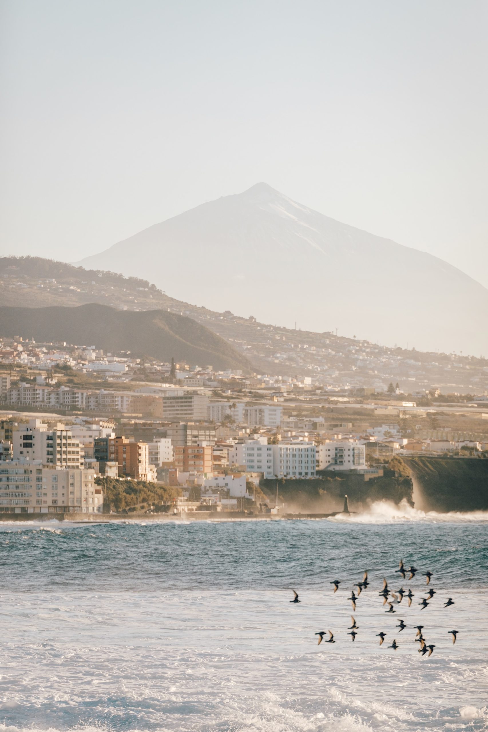 Le Teide vu depuis Punta del Hidalgo