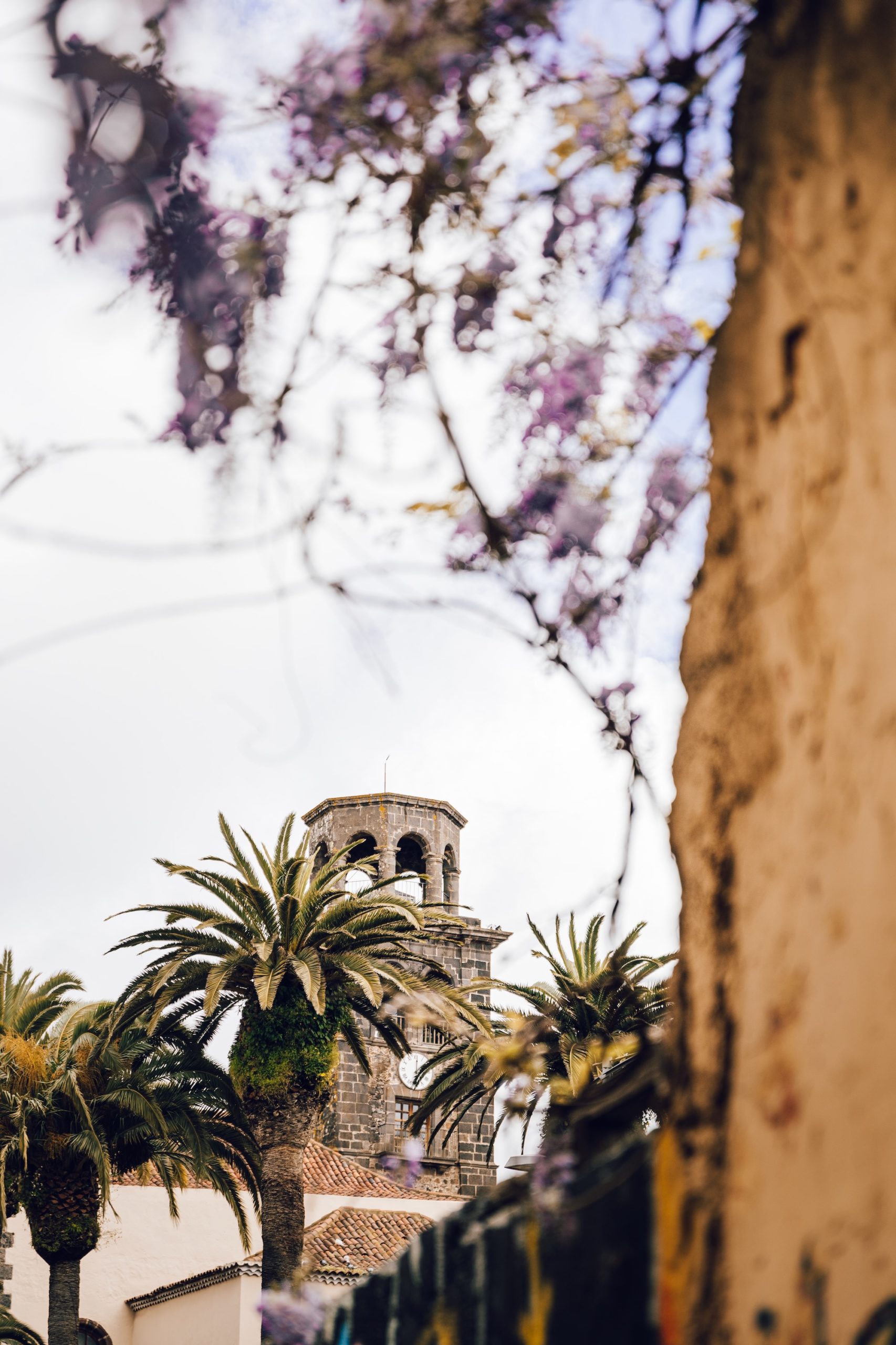 Visite de La Laguna à Tenerife