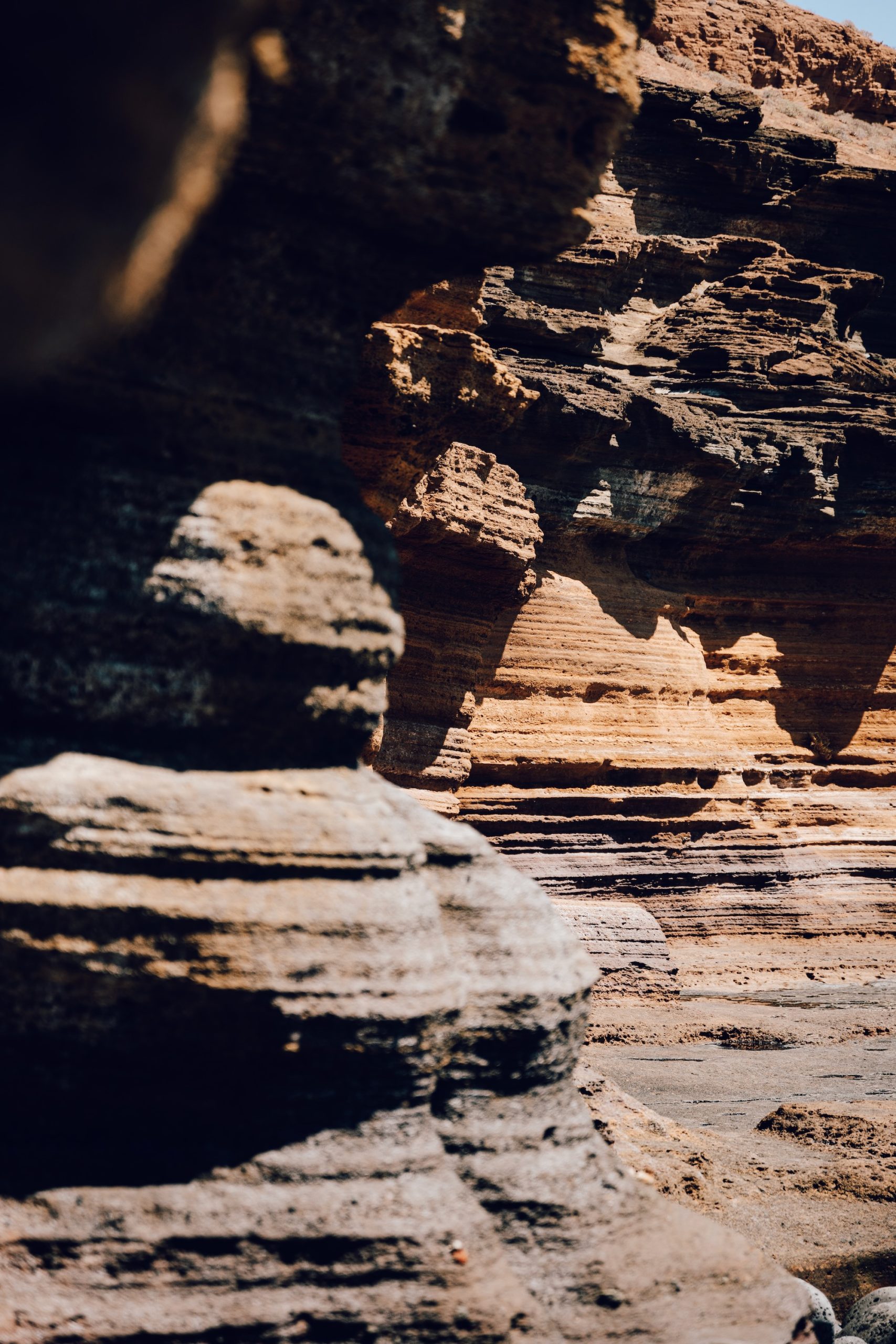 Que faire dans le sud de Tenerife ?