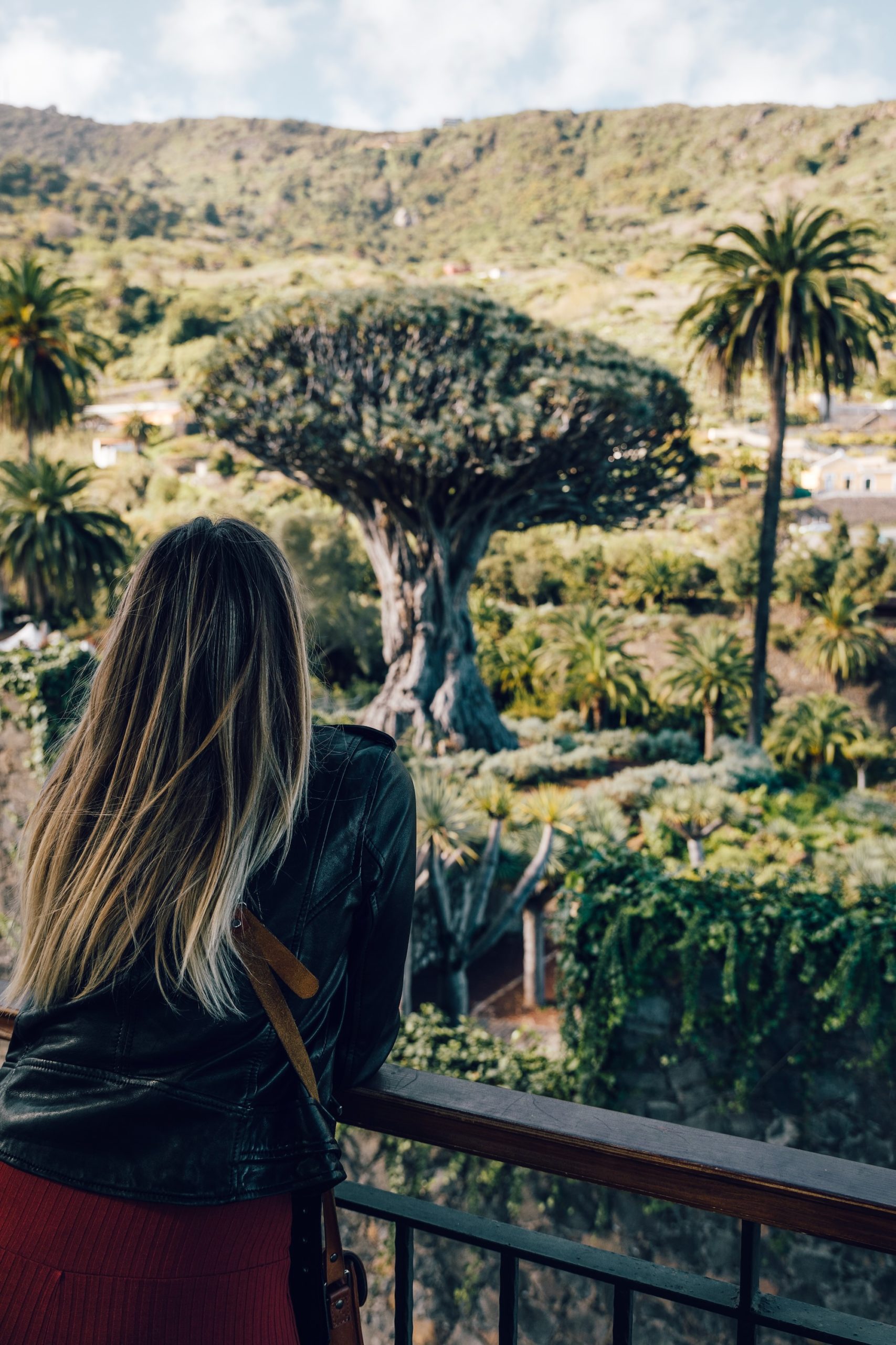 Arbre Drago Milenario à Icod de los Vinos